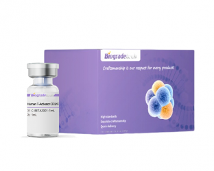 Dog BAFF Recombinant Protein