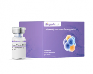 Protein Purification