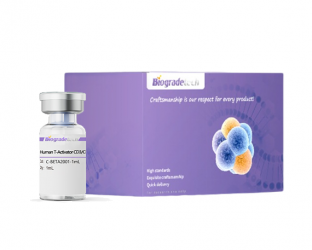 Restriction Enzymes