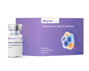 New proteins( Human )