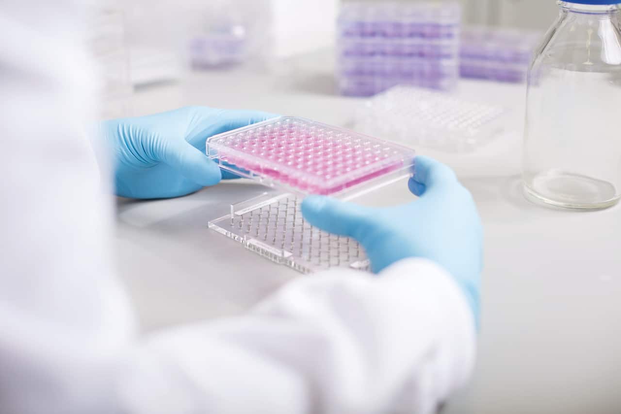 Protein Purification