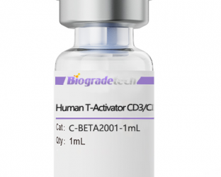 Human T-Activator CD3/CD28 Beads: Facilitating Human T Cell Activation and Expansion
