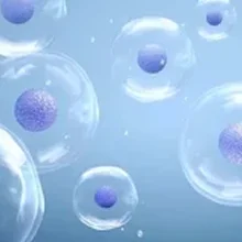 Nucleic Acid