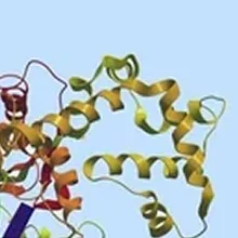 IHC Reagents