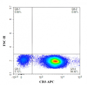 Human T-Activator CD3/CD28 Beads: Facilitating Human T Cell Activation ...